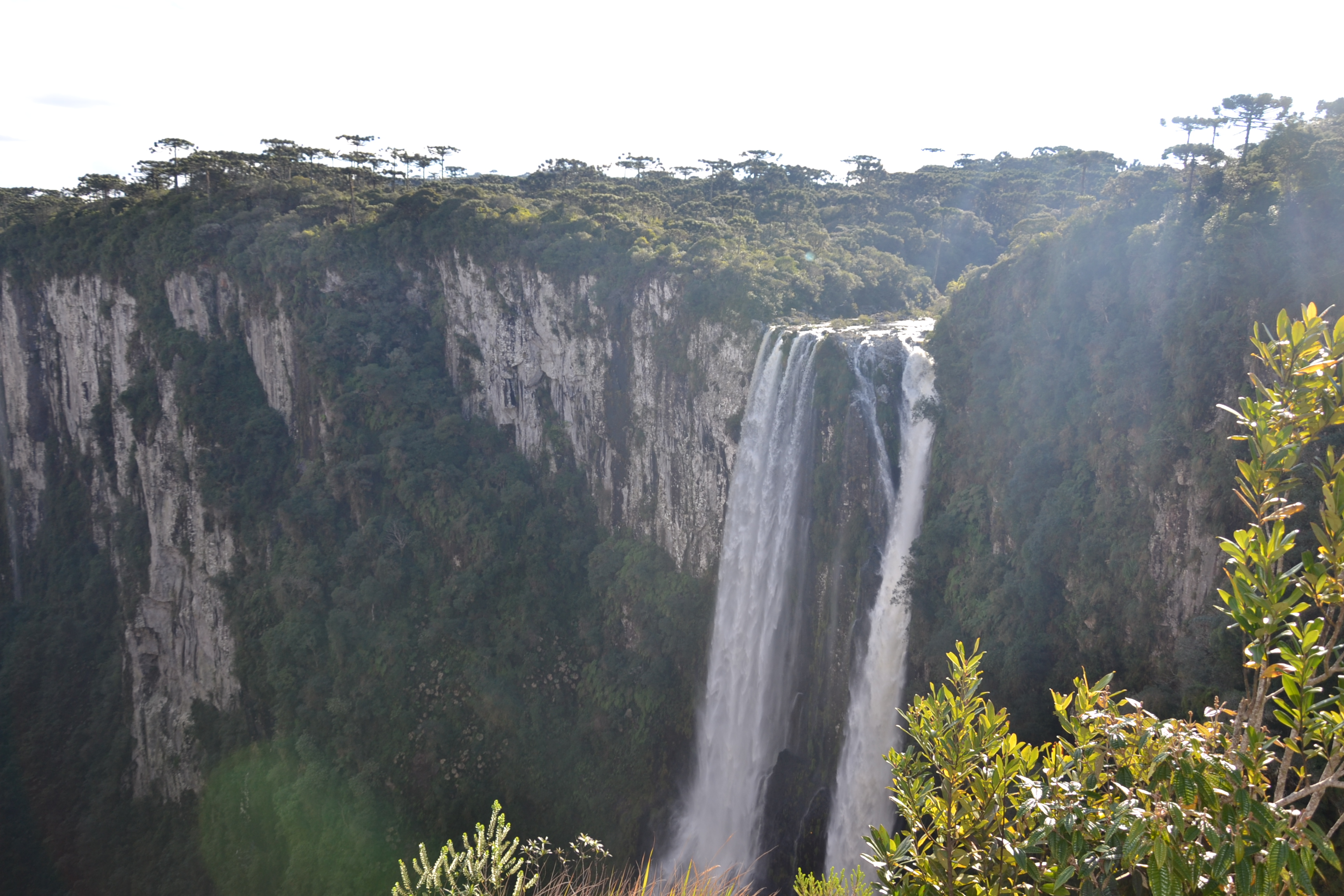 Cachoeira Véu de Noiva, queda d'água de 298 metros no Parque Nacional dos Aparados da Serra. Foto: Carla Cassi