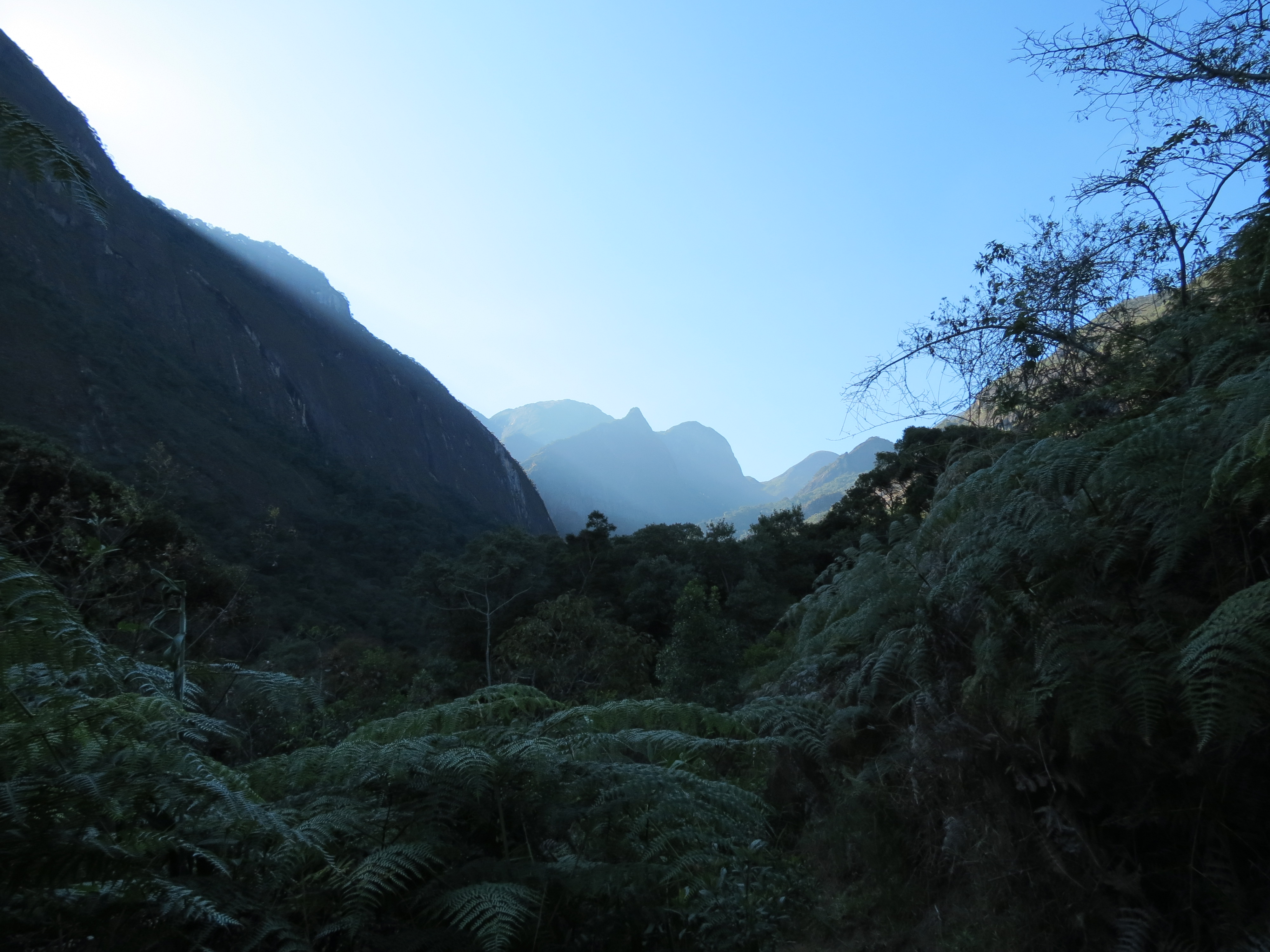 A extensão verde do Parque Nacional da Serra dos Órgãos.  Foto: Rodrigo Freitas