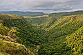 Canyon do Rio das Furnas.jpeg