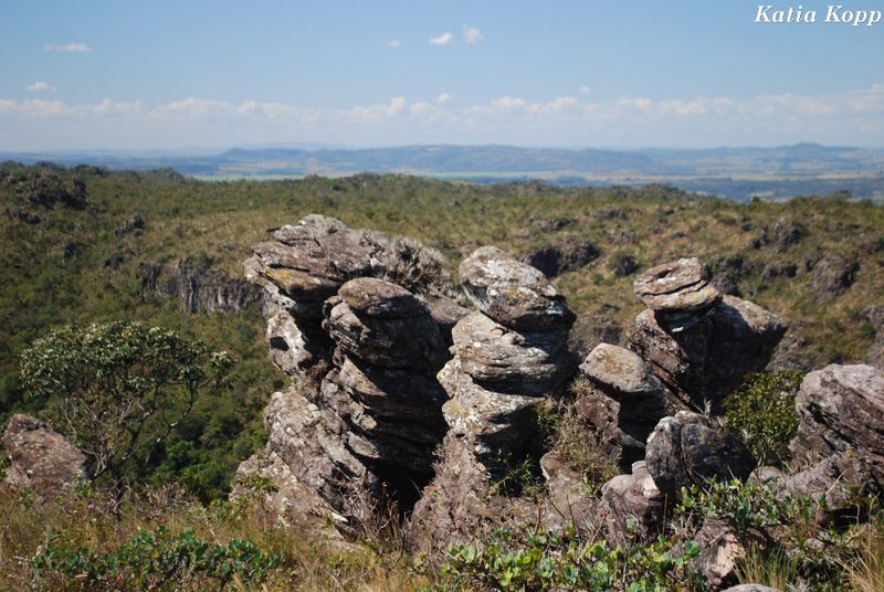 Arquivo:DSC 0176.jpg
