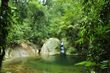Cachoeira no Parque Estadual de Ilhabela.jpeg