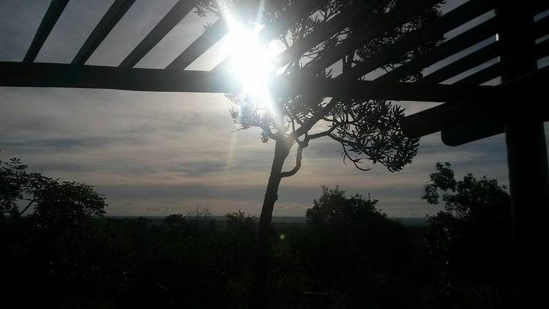 Arquivo:20181293243536.jpg