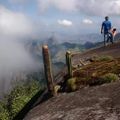 Miniatura da versão das 14h06min de 7 de dezembro de 2018