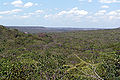 Caatinga Serra Branca.jpg