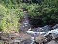 Parque Est Serra do Corundu Divulgacao 5.jpg