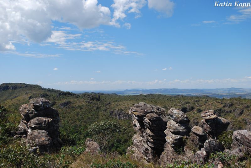 Arquivo:DSC 0173.jpg
