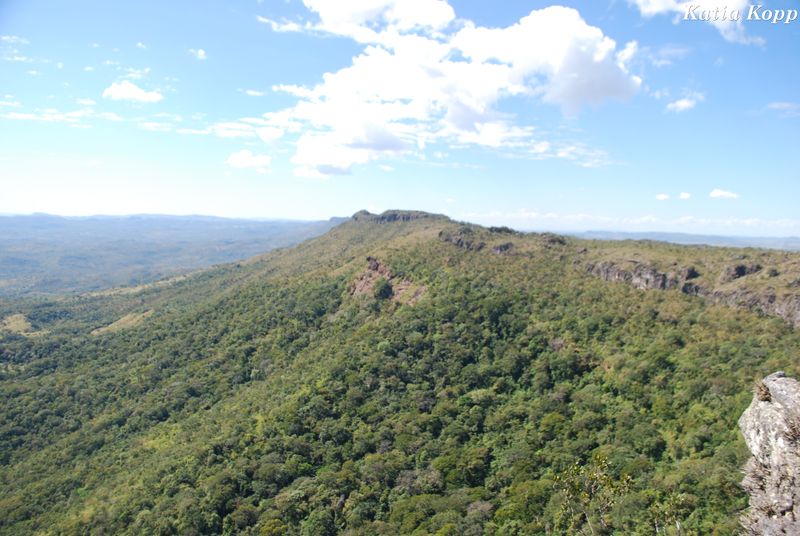 Arquivo:DSC 0178.jpg