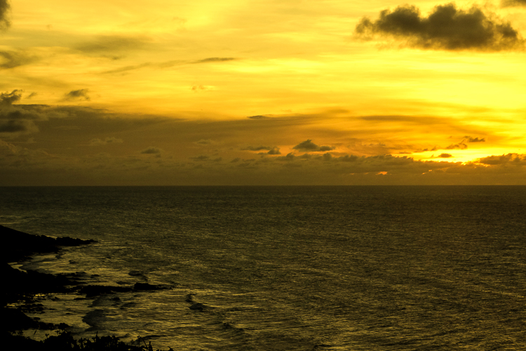 Parque Estadual da Ilha do Mel. Foto: Antonio Sergio Barbosa da Silva