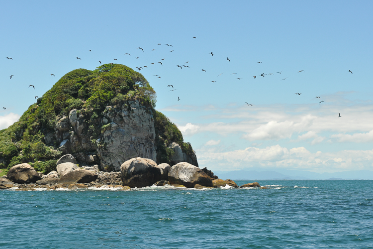 Parque Nacional Marinho das Ilhas dos Currais. Foto: Robin H. Loose