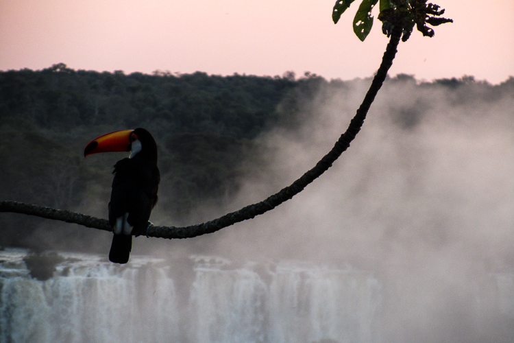 Parque Nacional do Iguaçu. Foto: Glaucia Cabral