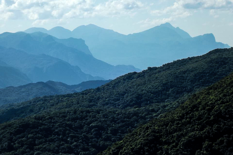 Parque Estadual do Pico do Marumbi. Foto: Anderson Mequelusso