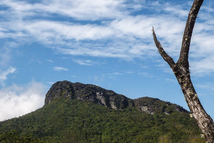 Parque Nacional do Pico da Neblina. Foto: Michell Richard Blind