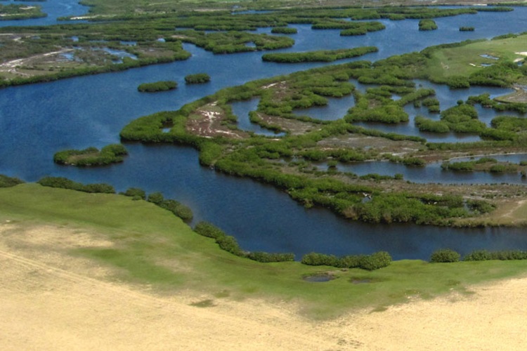 Vista aérea das lagoas no interior do Parque Estadual da Lagoa Açu. Foto: André Ilha
