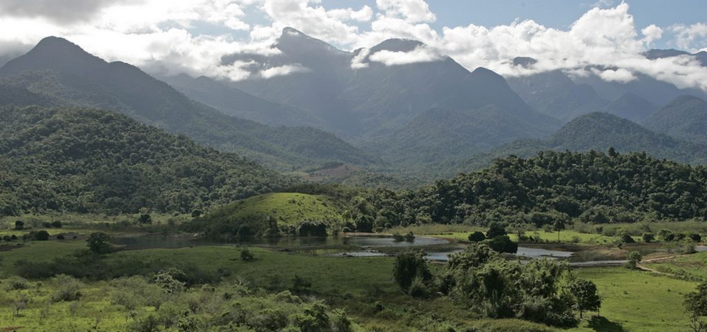 A área dos alagados na Reserva Ecológica do Guapiaçu. Foto: Acervo REGUA.