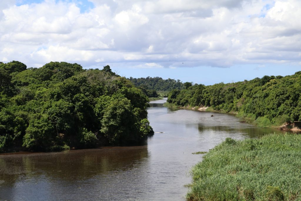 Registros na Reserva Biológica Poço das Antas. Foto: Duda Menegassi