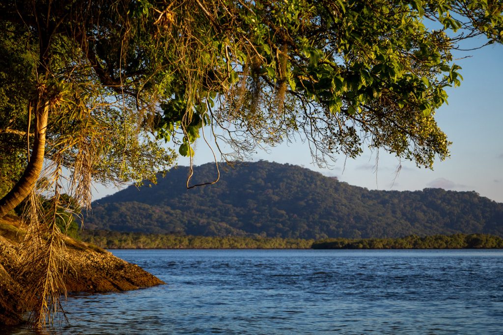 O Parque Nacional do Superagui protege paisagens típicas de Mata Atlântica: restinga, manguezal e floresta. Foto: Duda Menegassi